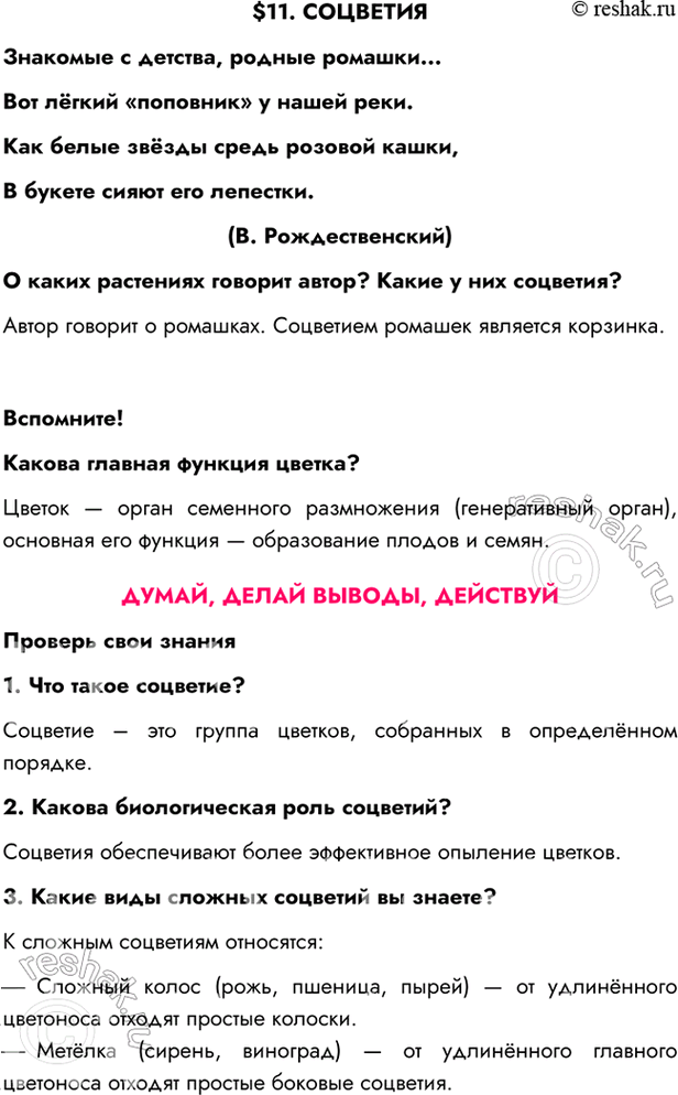 Изображение $11. СОЦВЕТИЯЗнакомые с детства, родные ромашки...Вот лёгкий «поповник» у нашей реки.Как белые звёзды средь розовой кашки,В букете сияют его лепестки.(В....